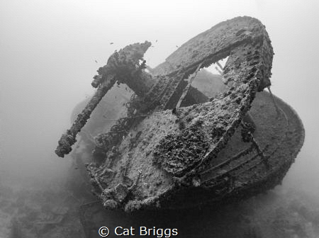 The Thistlegorm by Cat Briggs 