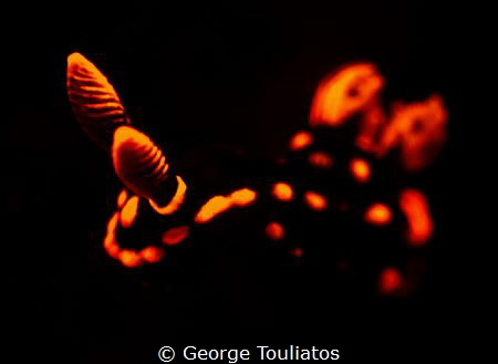Nebrotha with UV lighting. No strobes by George Touliatos 