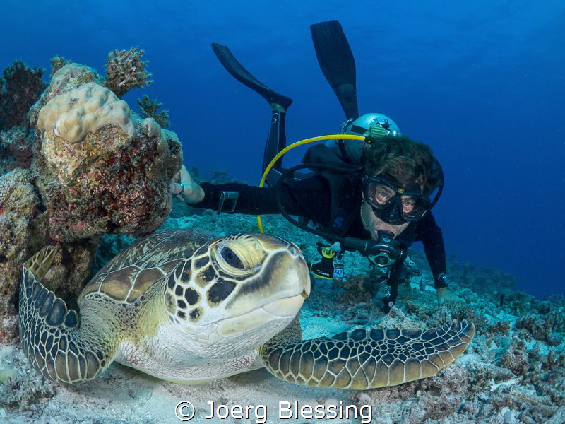 Hanging out with Mr. Green (turtle).. by Joerg Blessing 