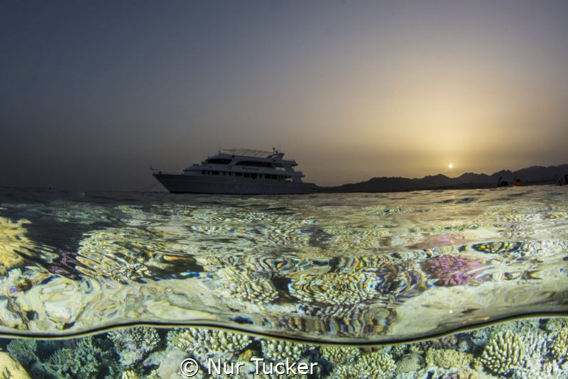 Red Sea at sun set- an over under shot of our live aboard... by Nur Tucker 