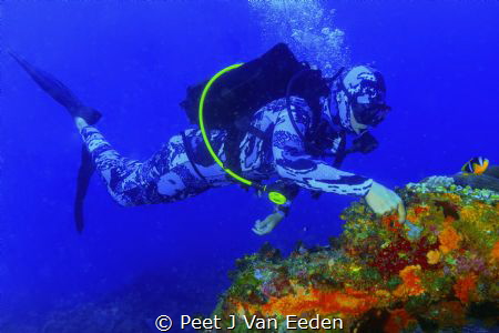 In Amazement
Scuba diver is amazed by the beauty of a sm... by Peet J Van Eeden 