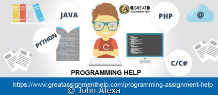 Programming Help Online proffers unlimited support to res... by John Alexa 