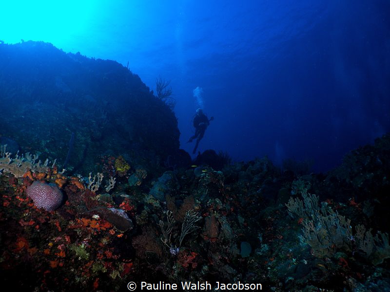 Diver at French Cap Island, U.S. Virgin Islands by Pauline Walsh Jacobson 