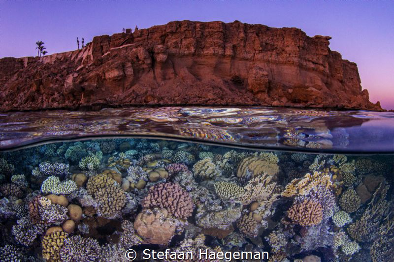 The best of 2 worlds, Sharm El Sheiklh: below and above. by Stefaan Haegeman 