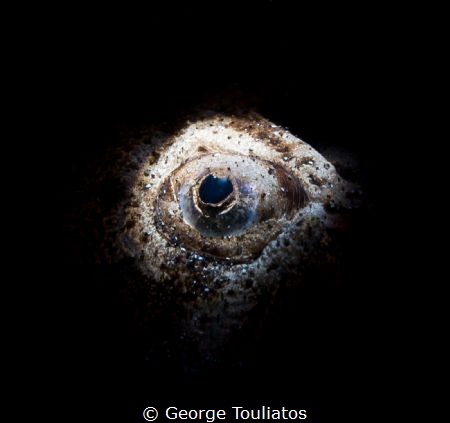 Stargazer Eye!!! by George Touliatos 