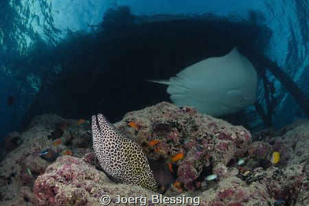 Jetty life by Joerg Blessing 