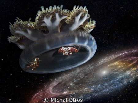On the way to Andomeda Galaxy 
(Upside-down jellyfish Ca... by Michal Štros 