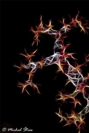 Gorgonians - a fractal image by Michal Štros 