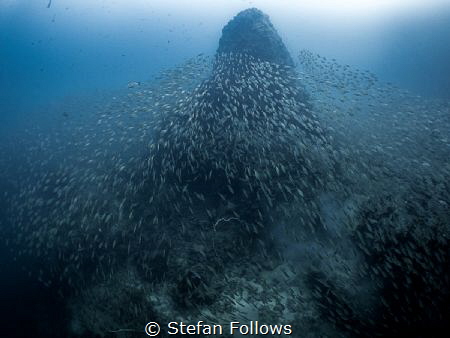 "There's no place like home"

Batfish Pinnacle 

Sail... by Stefan Follows 