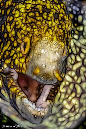 Snowflake moray eel- fractal image by Michal Štros 