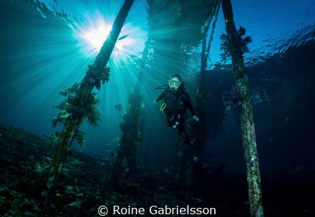 My 12-year old daughter diving Raja Ampat! by Roine Gabrielsson 