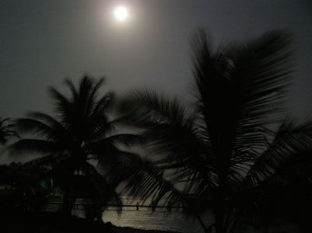 Casa Tranquila at night - Stary, stary night in Utila. by Lisa Armstrong 