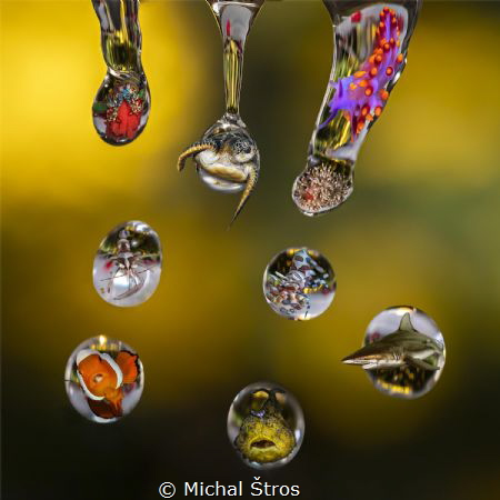 Water droplets by Michal Štros 