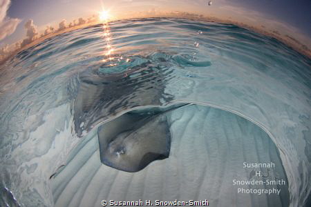 "Echo At Sunrise" - Sunrise sparkles and water drops echo... by Susannah H. Snowden-Smith 