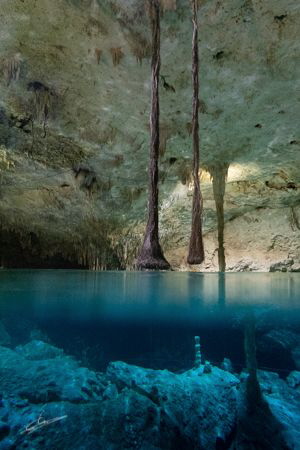 Cenote Tacbi-Ha (Hidden Water) in Tulum (Mexico) ISO 1600... by Pablo Gutierrez 