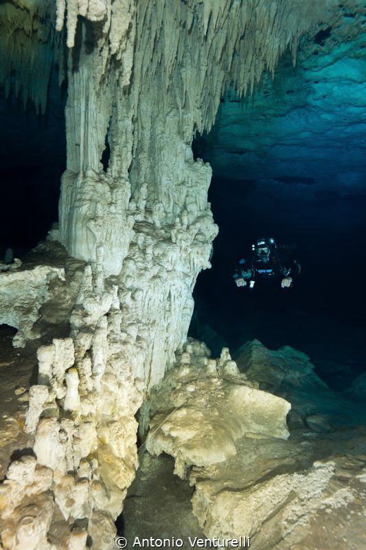 cave diving at Nohoch Nah Chich,
Tulum,Mexico_2021
(Can... by Antonio Venturelli 