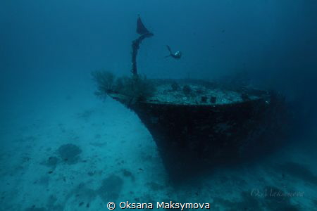 Somewhere deep ...
Kuda giri wreck, south Male Atoll by Oksana Maksymova 