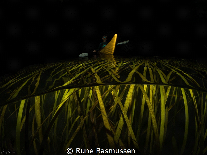 dad kayaking over the danish seaweeds at a night time swi... by Rune Rasmussen 