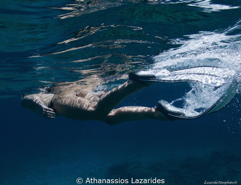 Gliding graciously in the crystal waters by Athanassios Lazarides 