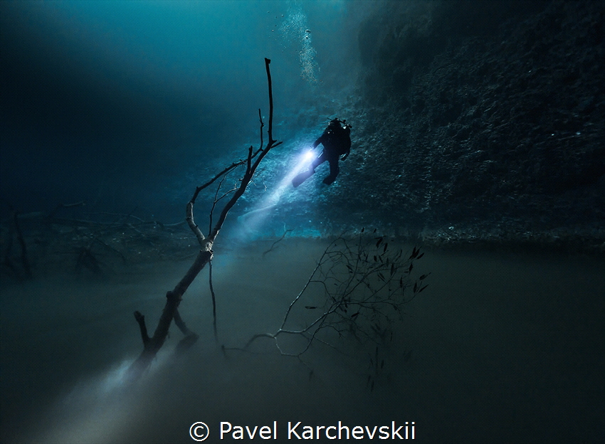 Cenote Angelita in Mexico by Pavel Karchevskii 