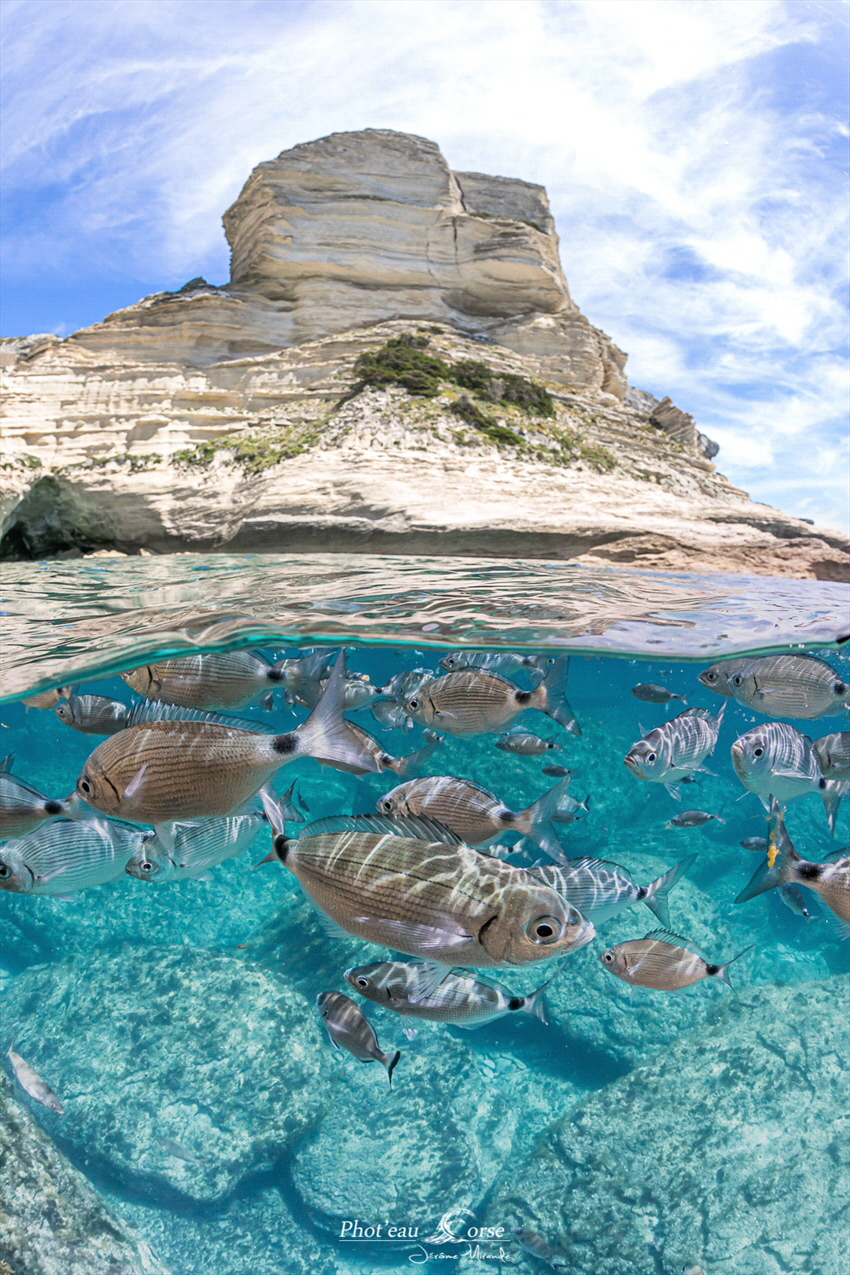 Bonifacio Corsica island by Jérome Mirande 