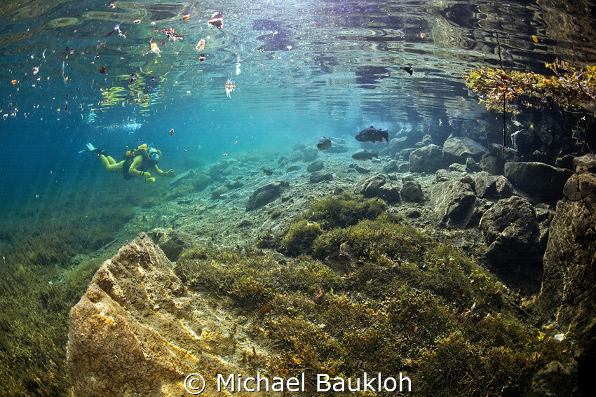 Freshwaterdiving by Michael Baukloh 