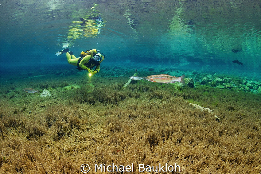 Mountain lake diving in the Alps by Michael Baukloh 