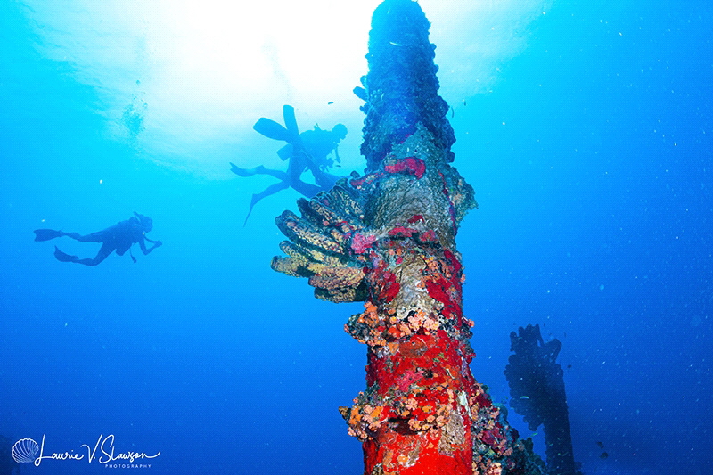 The Blackthorn Wreck in Aruba photographed with a Canon E... by Laurie Slawson 
