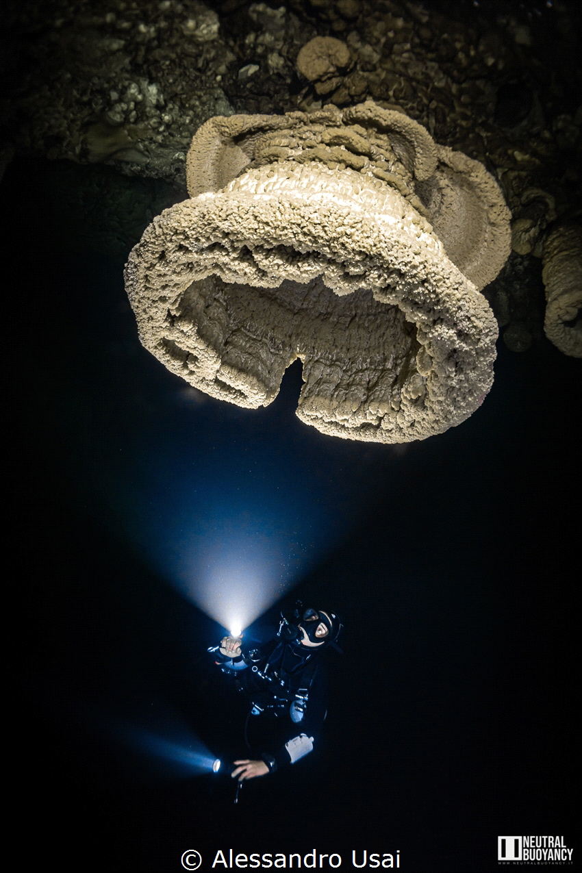 Cenote Maravilla, Hell's Bells.
The Hells Bells are Biot... by Alessandro Usai 