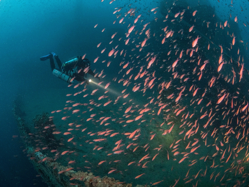 Picture taken at the Milford Haven in Italy. A lot of fis... by Brenda De Vries 