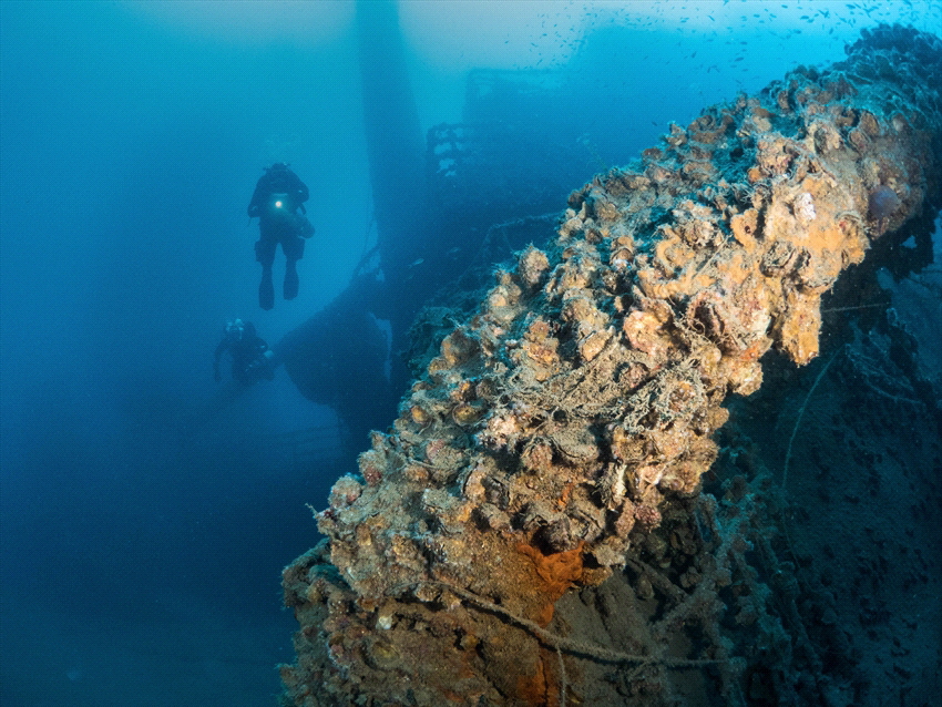 The Milford Haven wreck. A wreck for all divers, from 34m... by Brenda De Vries 