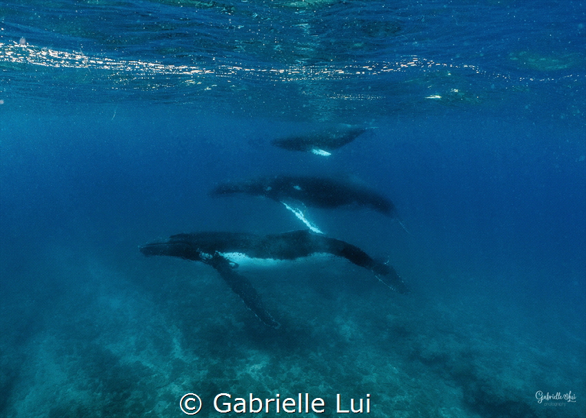 We had gone for a snorkel, had been in the water for abou... by Gabrielle Lui 