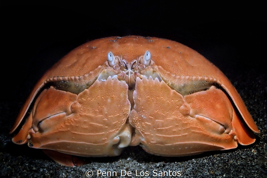 Helmet by Penn De Los Santos 