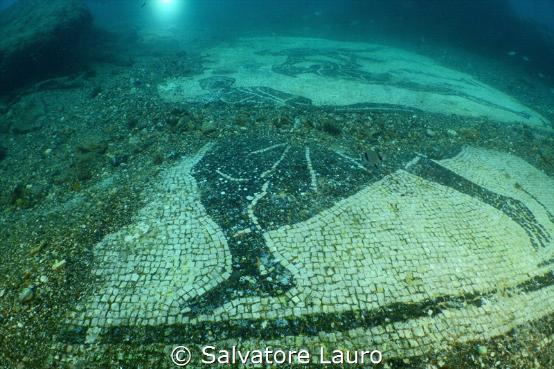 Last Sunday my daugheter  decided to visit the underwater... by Salvatore Lauro 