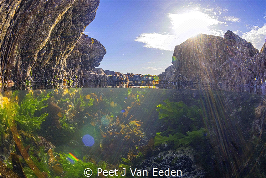 Underwater Rainbow by Peet J Van Eeden 