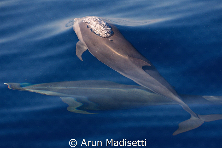 breathe, breathe in the air - don't be afraid to care. by Arun Madisetti 