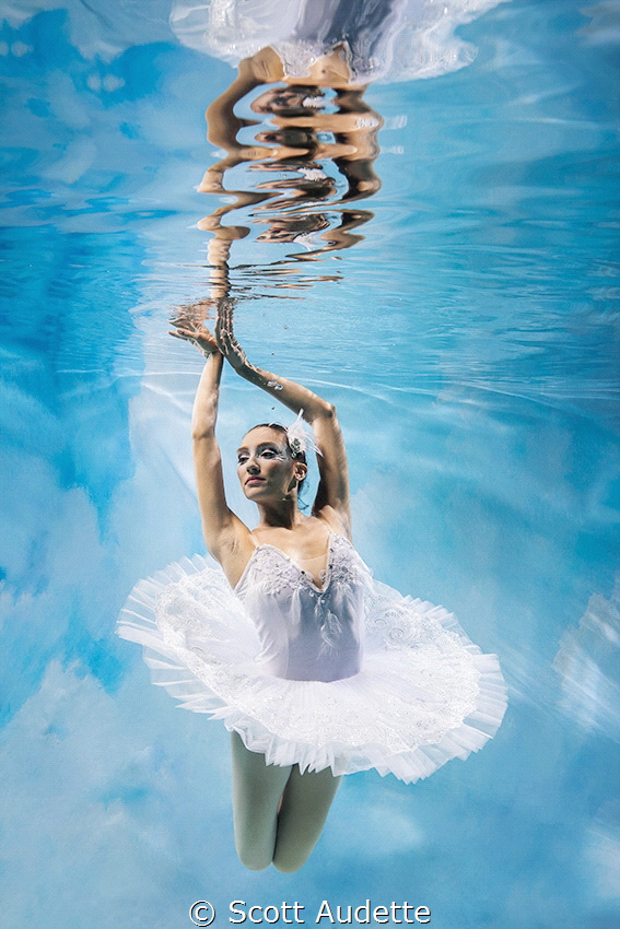 Swan Lake x Underwater by Scott Audette 