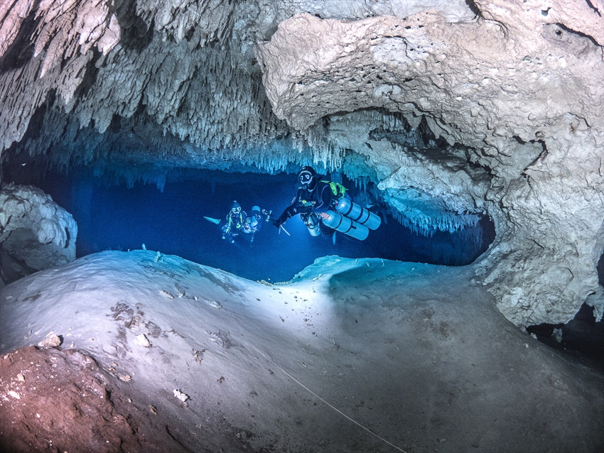 Cenote Nohoch in Mexico. De water is always clear. A very... by Brenda De Vries 
