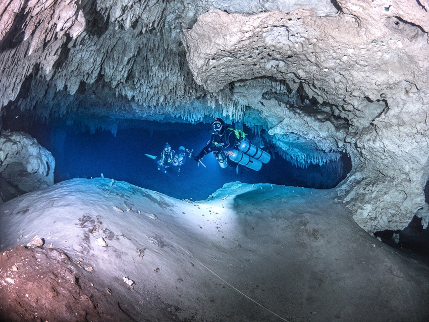 Cenote Nohoch in Mexico. De water is always clear. A very... by Brenda De Vries 