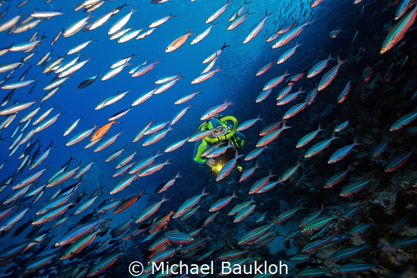 Red Sea by Michael Baukloh 