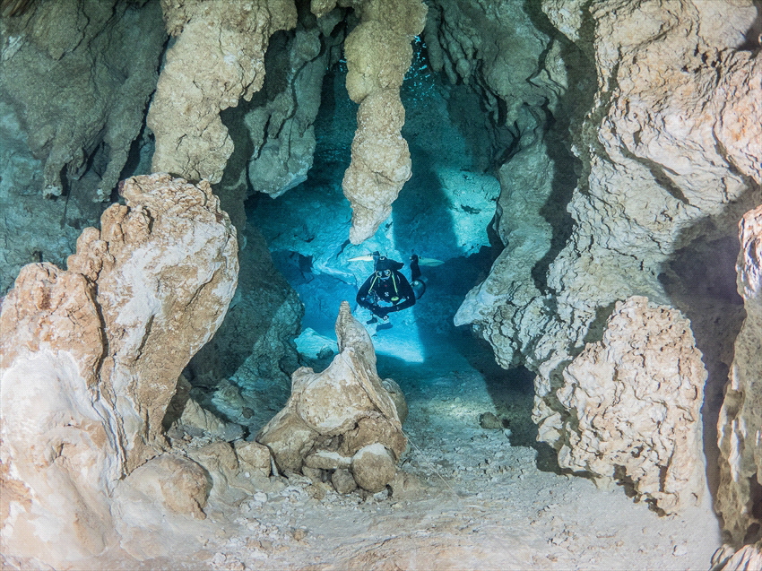 Cenote Chan Hol in Mexico. One of the best places to dive... by Brenda De Vries 