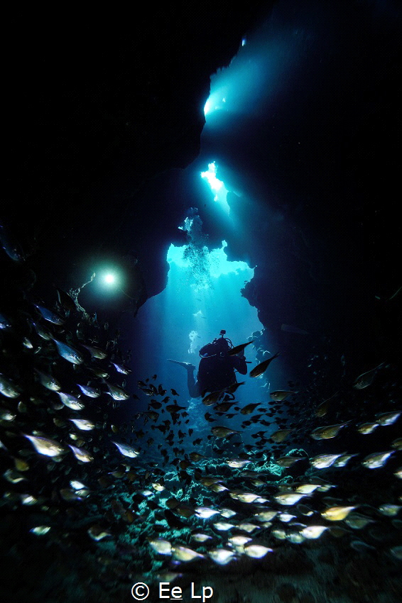 Divers in a small open cave with a school of Pempheris ad... by E&e Lp 