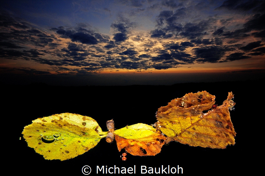 Autumn mood in the lake by Michael Baukloh 