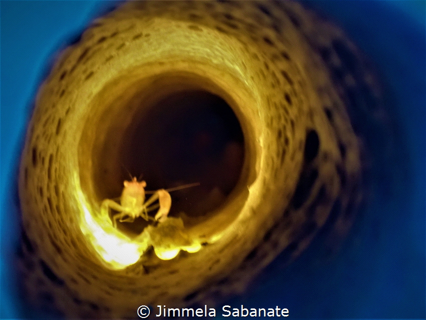 Make light with  a torch outside on blue sponge tube and ... by Jimmela Sabanate 