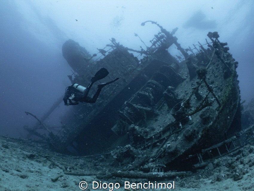 Diver at the Giannis D wreck at Red Sea. by Diogo Benchimol 