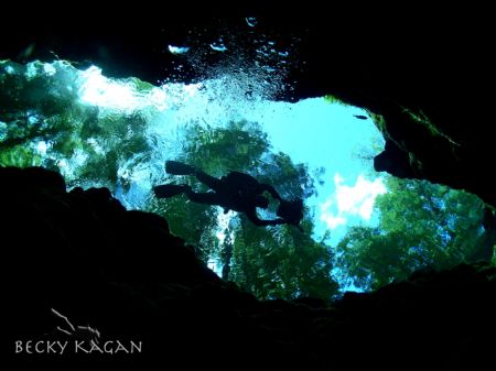 Ginnie springs Fl where the water is as clear as swimming... by Becky Kagan 