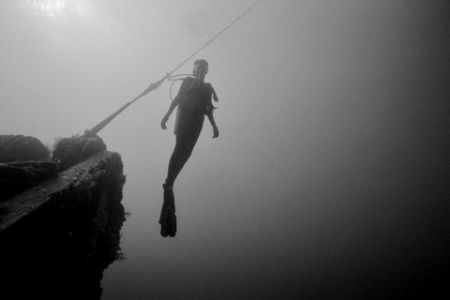 Ghostly Gal of the Grove - Shot taken on Deep wreck (Spie... by Michael Salcito 
