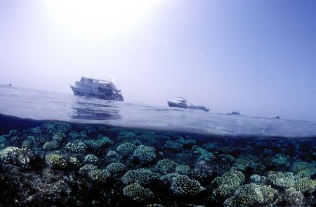 Under/over Red sea,Nikon f90x in aquatica housing,fish-ey... by José Silva 
