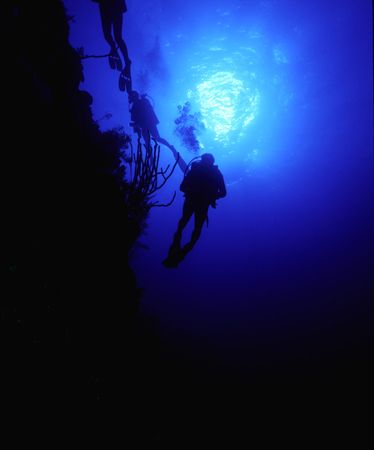 Divers on the wall in Bonaire with Canon Digital Rebel in... by Bob Martin 