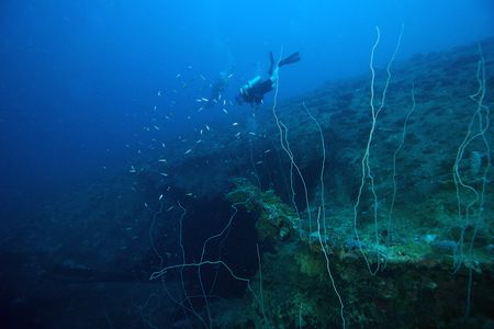 Melissa enters a Torpedo Hole in a chuuk Lagon Wreck, Tak... by Terry Moore 